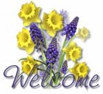 welcom bij aitjohra